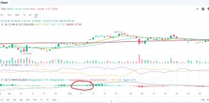 MACD.jpg