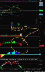 Screenshot 2025-NegUp.png