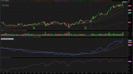 XLI 2026-03-03 200457.jpg