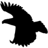TPlan