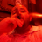 SmokeyDaBull